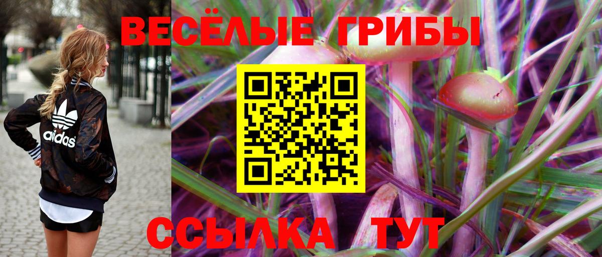 дарнет шоп  Галлюциногенные грибы Psilocybine cubensis  Галлюциногенные грибы Cubensis  Вход с VPN  Белорецк 